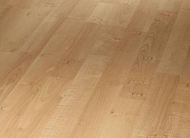 Ламинат Parador Basic Plus 200 1426411 Клён Натуральный фото 1 | FLOORDEALER